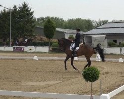 dressage horse Wianello (Hanoverian, 2001, from Wolkenstein II)