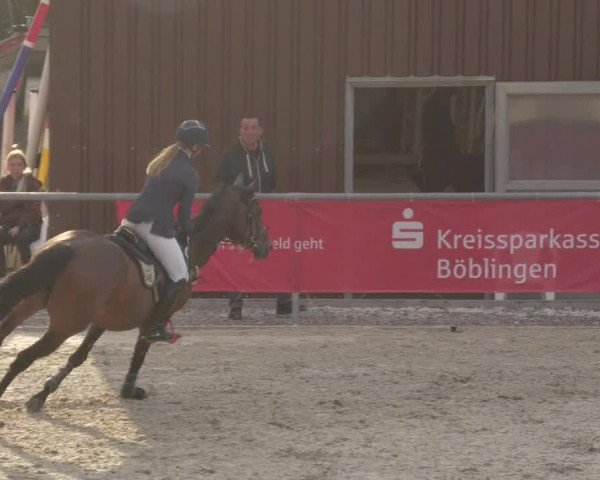 Reitturnier Ehningen 2020