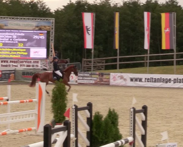 Reitturnier Redentin/Krusenhagen 2020