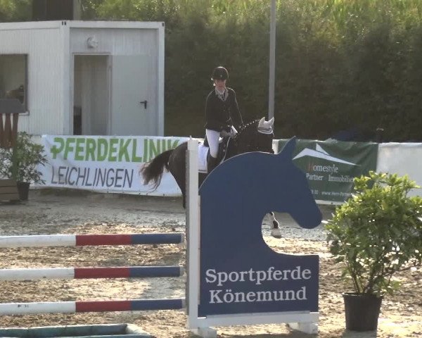 Reitturnier Leichlingen-Witzhelden 2020