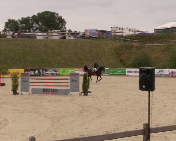 Reitturnier Redentin/Krusenhagen 2020
