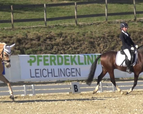 Reitturnier Leichlingen-Witzhelden 2020