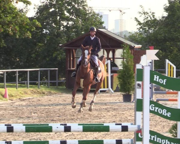 Reitturnier Dortmund-Barop 2020