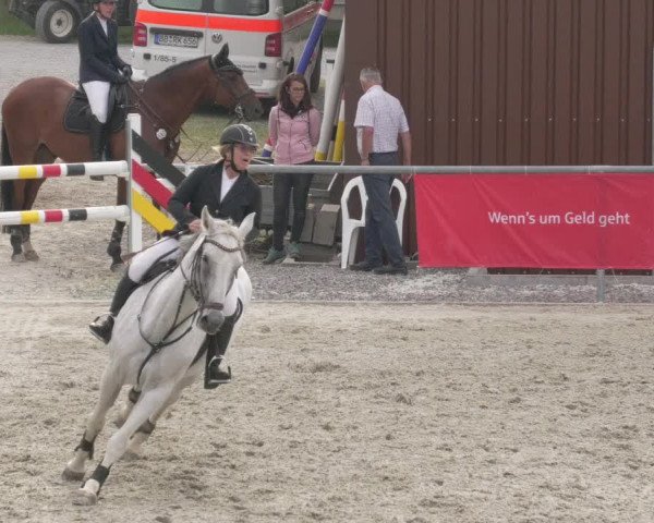 Reitturnier Ehningen 2020