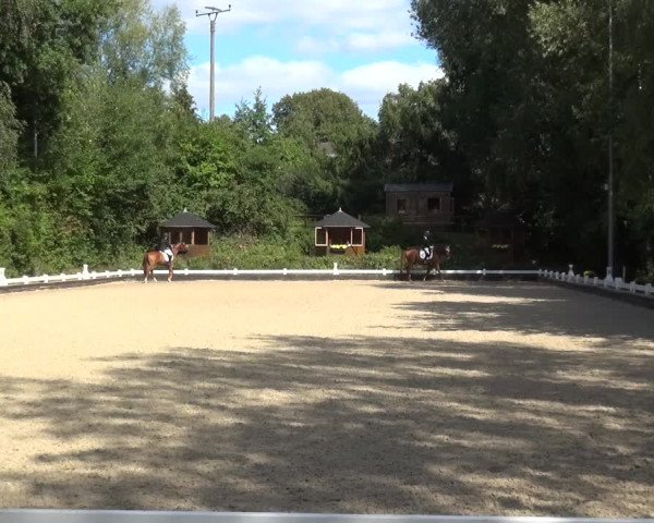 Reitturnier Mettmann - Reitanlage Löckenhoff 2020