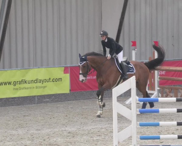 Reitturnier Ehningen 2020