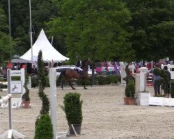 horse Chanel 406 (Westphalian, 2006)