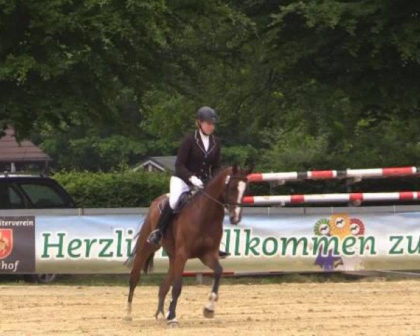 Springpferd Ciara Belle (Oldenburger, 2010, von Captain Fire)