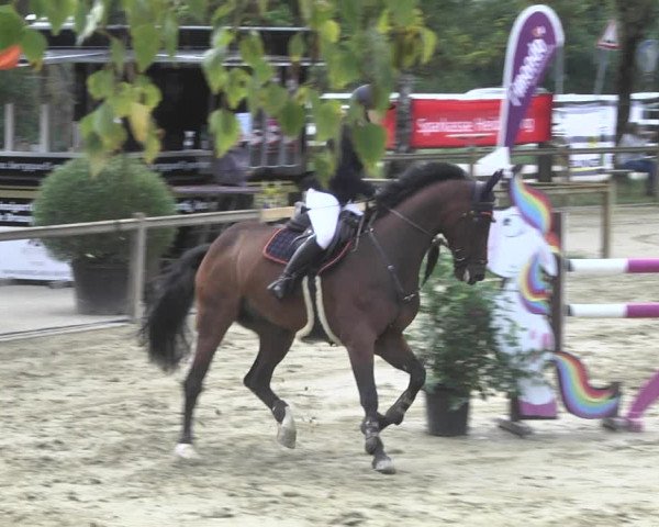 Reitturnier Walldorf/Winterheck 2020