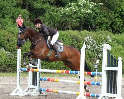 jumper Laffite (Thuringia, 2000, from Landstar)