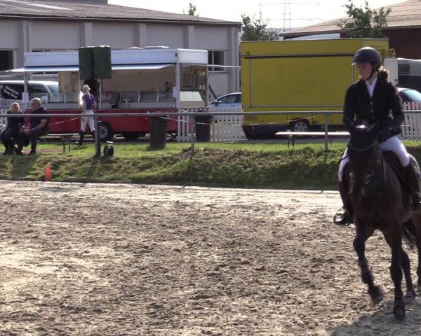 Reitturnier Dortmund-Barop 2020