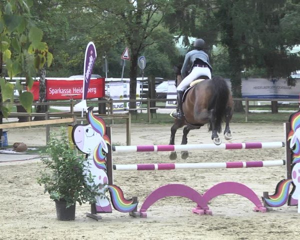 Reitturnier Walldorf/Winterheck 2020
