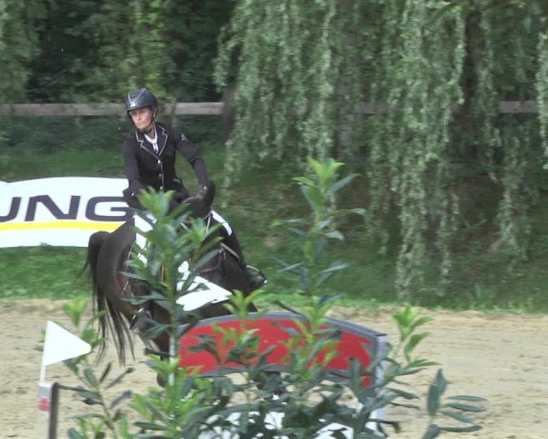 Reitturnier Walldorf/Winterheck 2020