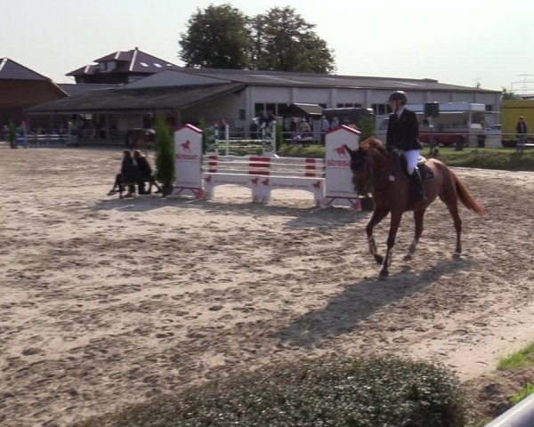 Reitturnier Dortmund-Barop 2020