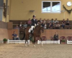 dressage horse Mexx 24 (Rhinelander, 2003, from Montparnasse)