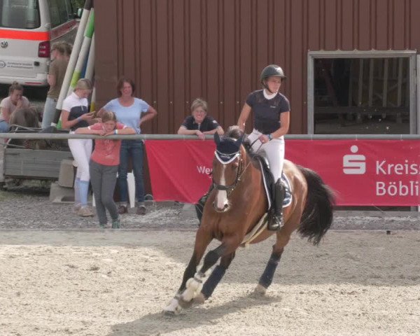Reitturnier Ehningen 2020