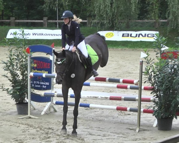 Reitturnier Walldorf/Winterheck 2020