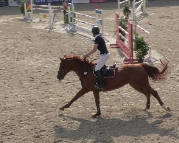 Reitturnier Ehningen 2020