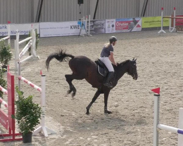 Reitturnier Ehningen 2020