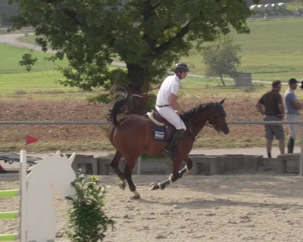 Reitturnier Ehningen 2020