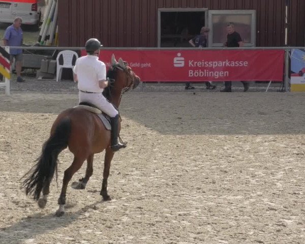Reitturnier Ehningen 2020