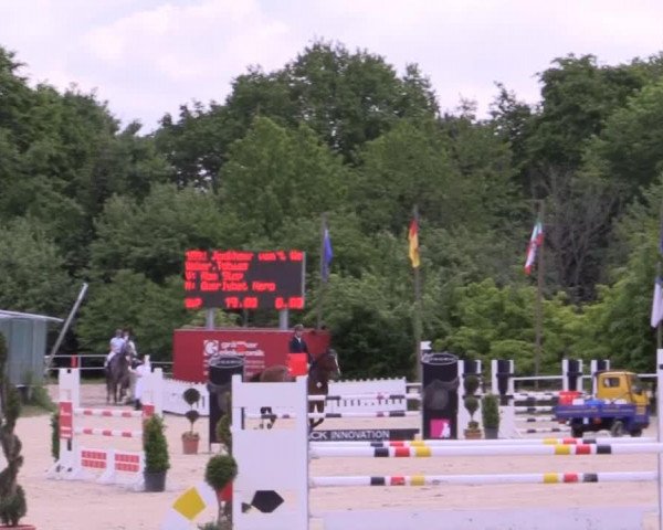 jumper Jonkheer van het Welthof (Belgian Warmblood, 2009, from Nonstop)