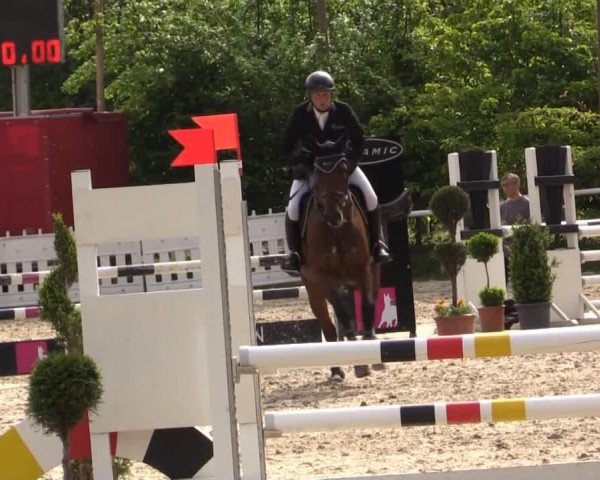 jumper Cattleya 2 (Oldenburg show jumper, 2010, from Conthargos)