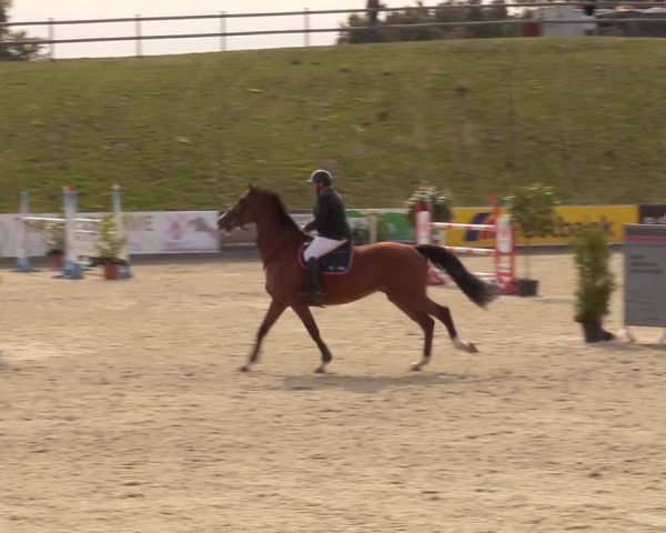 Reitturnier Redentin/Krusenhagen 2020