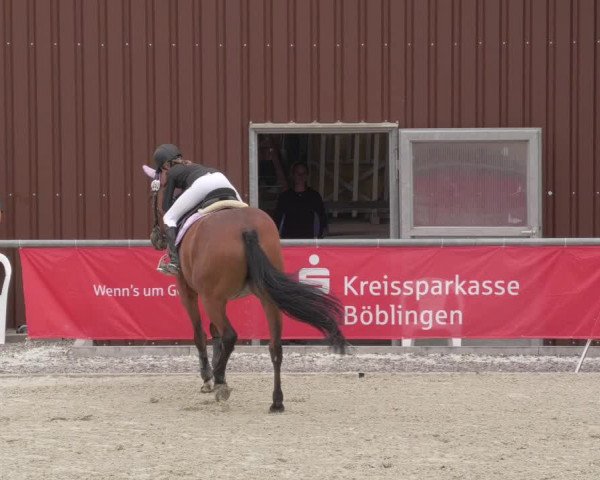 Reitturnier Ehningen 2020