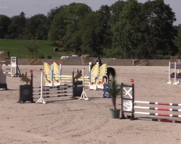 Reitturnier Oberfrauendorf 2020
