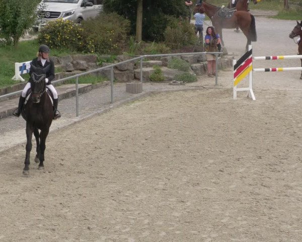 Reitturnier Ehningen 2020