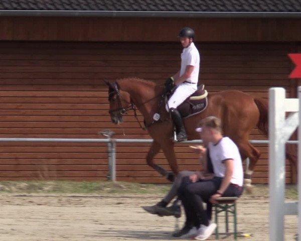 Reitturnier Dortmund-Barop 2020