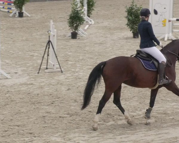 Reitturnier Ehningen 2020
