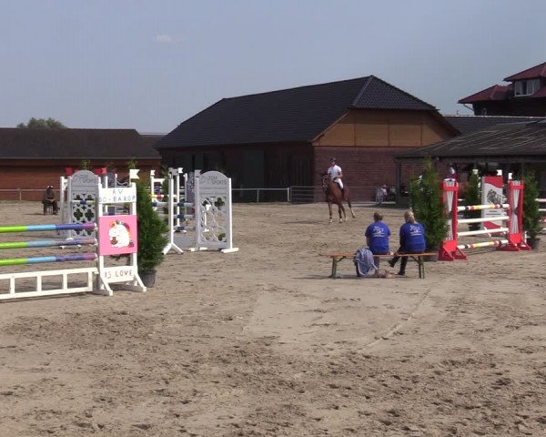 Reitturnier Dortmund-Barop 2020