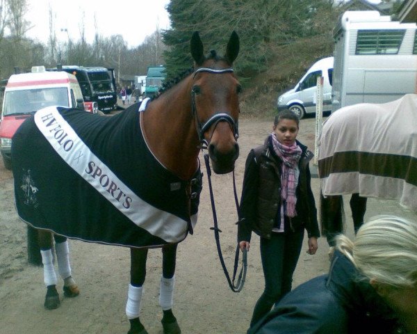 jumper Idefix 76 (Mecklenburg, 1994, from Ischabal)