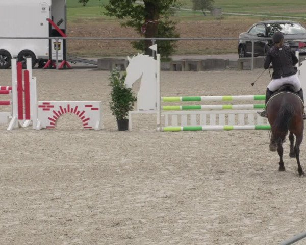 Reitturnier Ehningen 2020