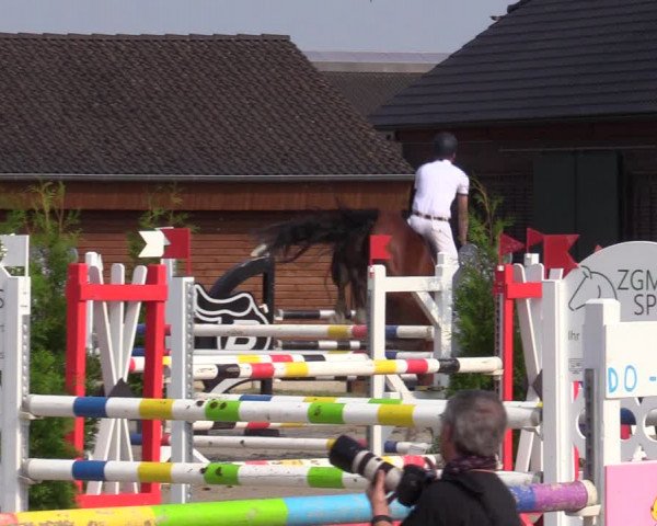 Reitturnier Dortmund-Barop 2020