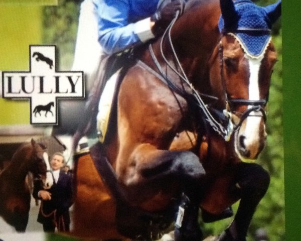 jumper Valentino de Lully (Swiss Warmblood, 1998, from Voltaire)
