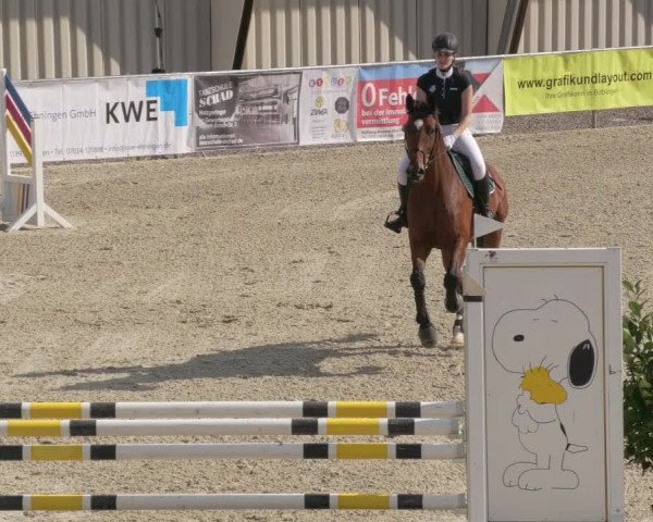 Reitturnier Ehningen 2020