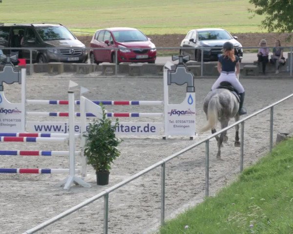 Reitturnier Ehningen 2020