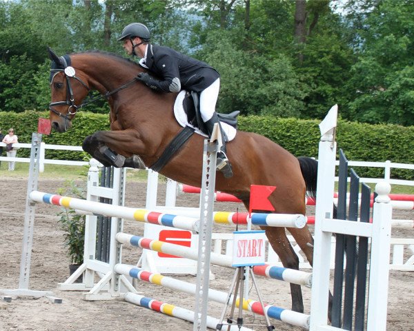 Cavallo da salto Solero 80 (Bavarese, 2009, di Sunny de Hus)