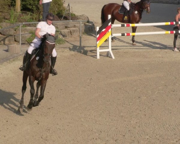 Reitturnier Ehningen 2020