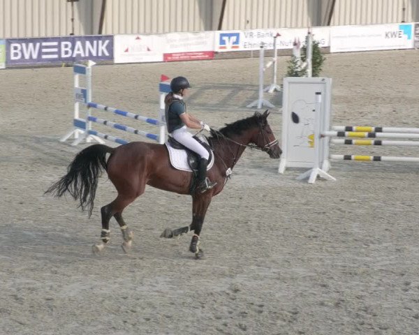 Reitturnier Ehningen 2020