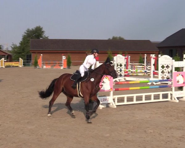 Reitturnier Dortmund-Barop 2020