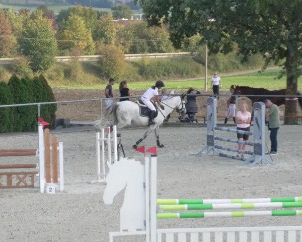 Reitturnier Ehningen 2020