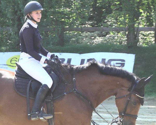 Reitturnier Walldorf/Winterheck 2020