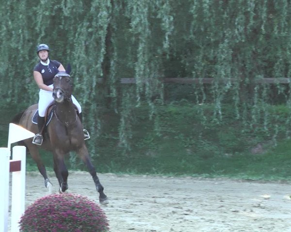 Reitturnier Walldorf/Winterheck 2020