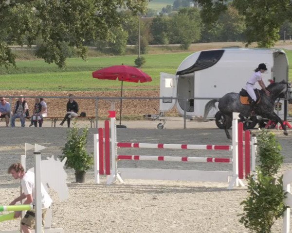 Reitturnier Ehningen 2020