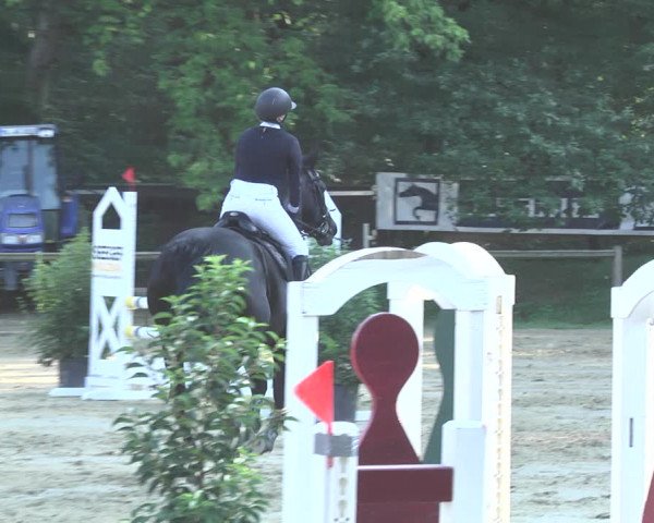 Reitturnier Walldorf/Winterheck 2020