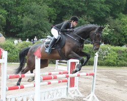 jumper Charmeur 419 (Oldenburg, 2009, from Chatman)